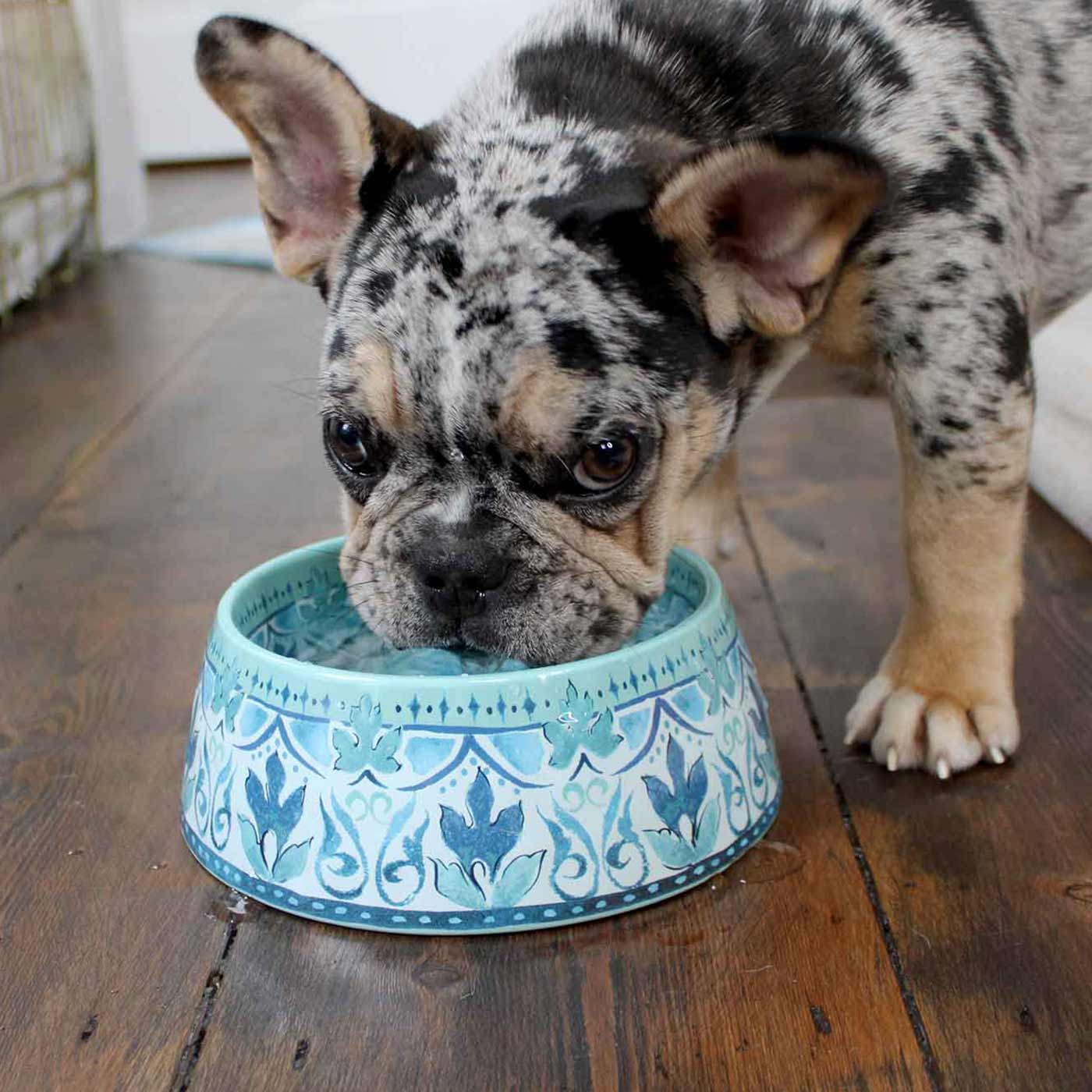 Gibraltar Double Wall Pet Bowl - Medium