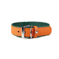 Firenze Collar - Orange / Forest